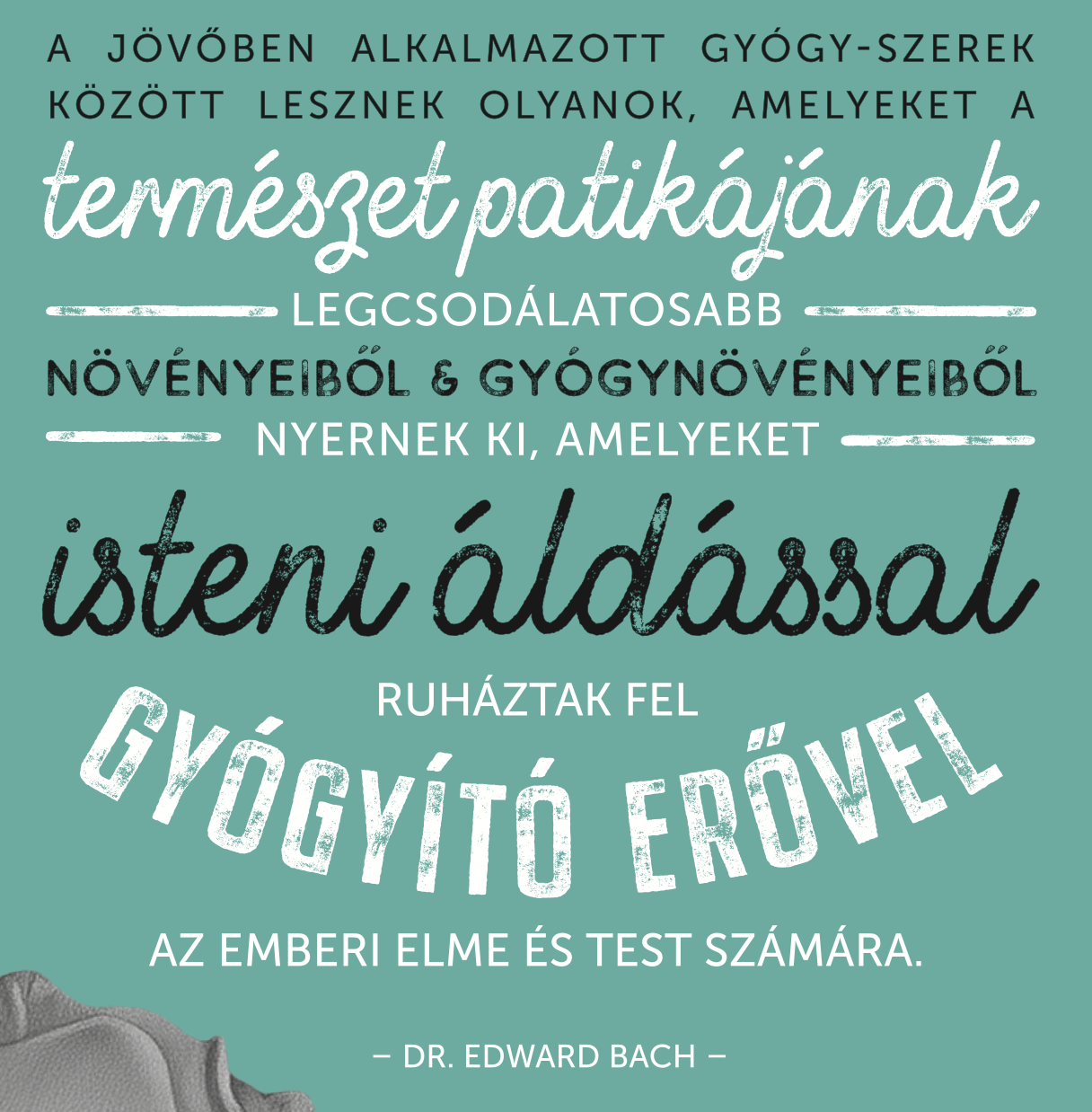 Esszenciális érzelmeink 13. kiadás - ÎN LIMBA MAGHIARĂ