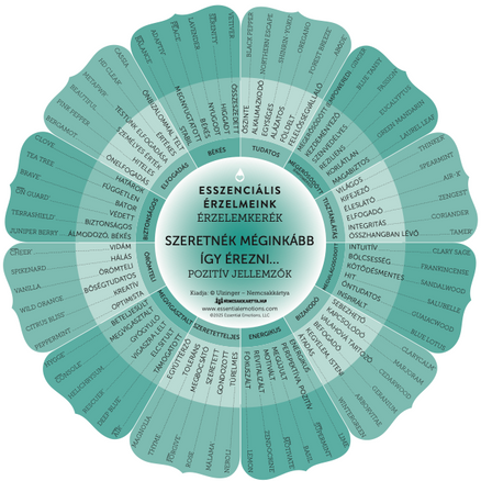 Esszenciális érzelmeink - Érzelmi kerék 13. kiadás  - ÎN LIMBA MAGHIARĂ