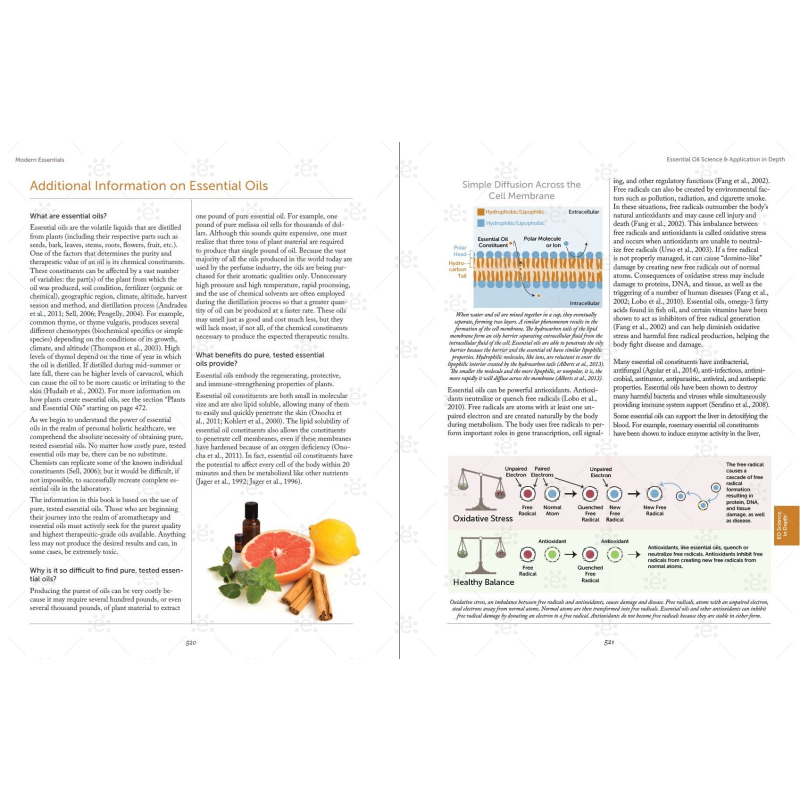 Modern Essentials Book – 16th Edition (copertă cartonată, în limba engleză)