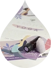  Instrumente pentru afaceri