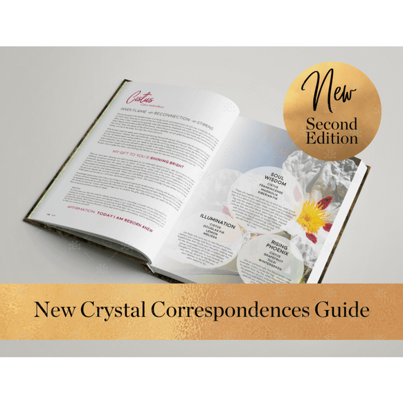 Gifts Of The Essential Oils - 2Nd Edition Books (Bound)